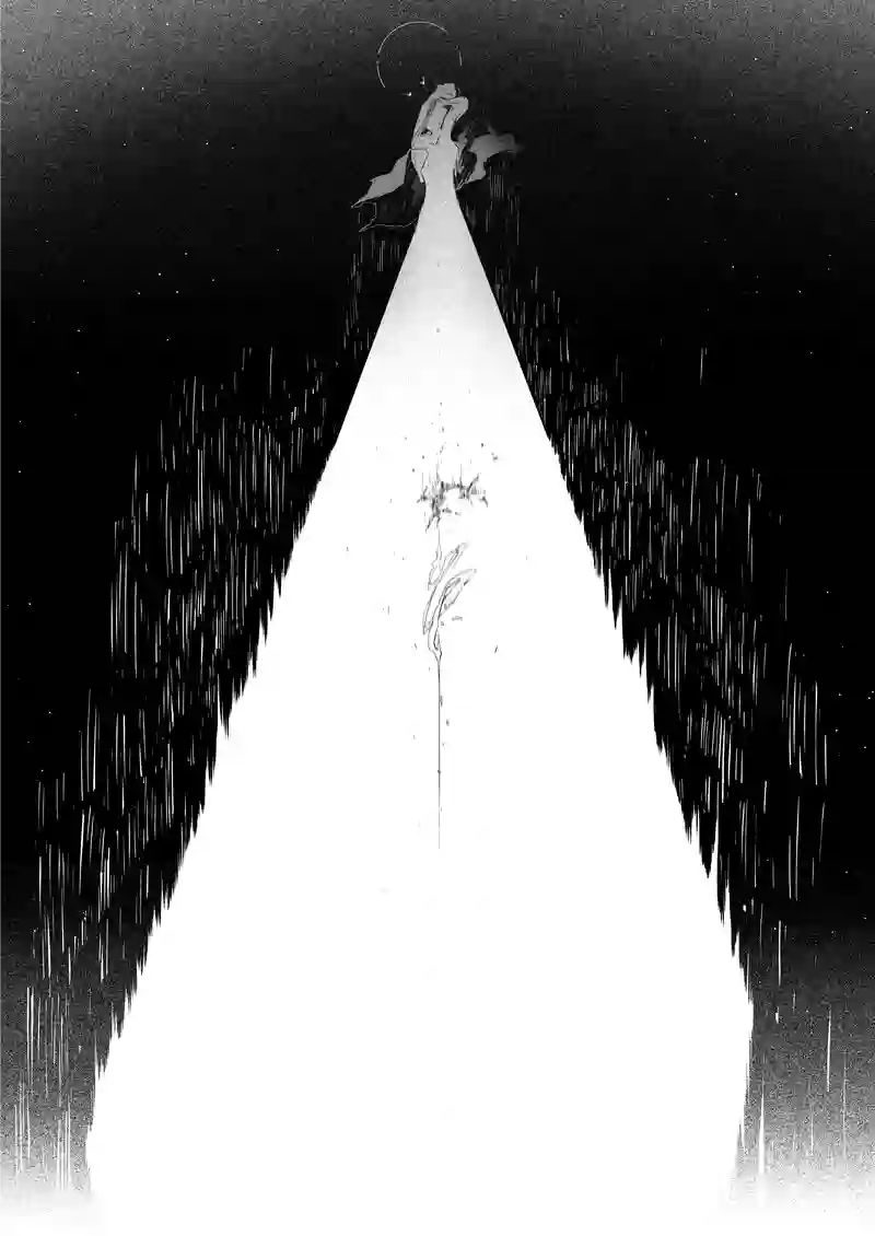 Vanishing in the White2'