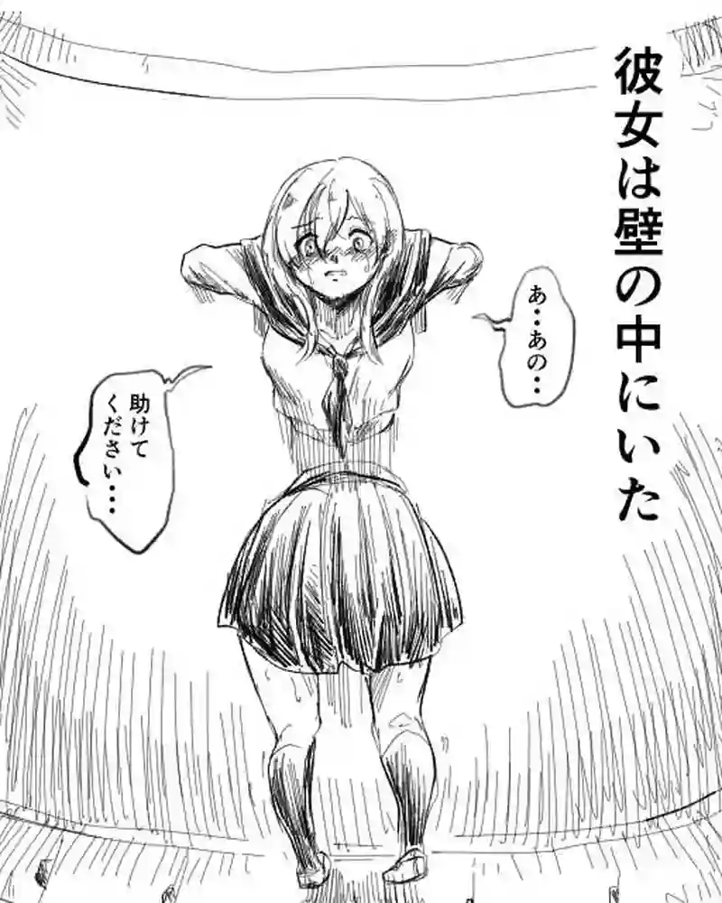 壁の中の彼女　こけようこ