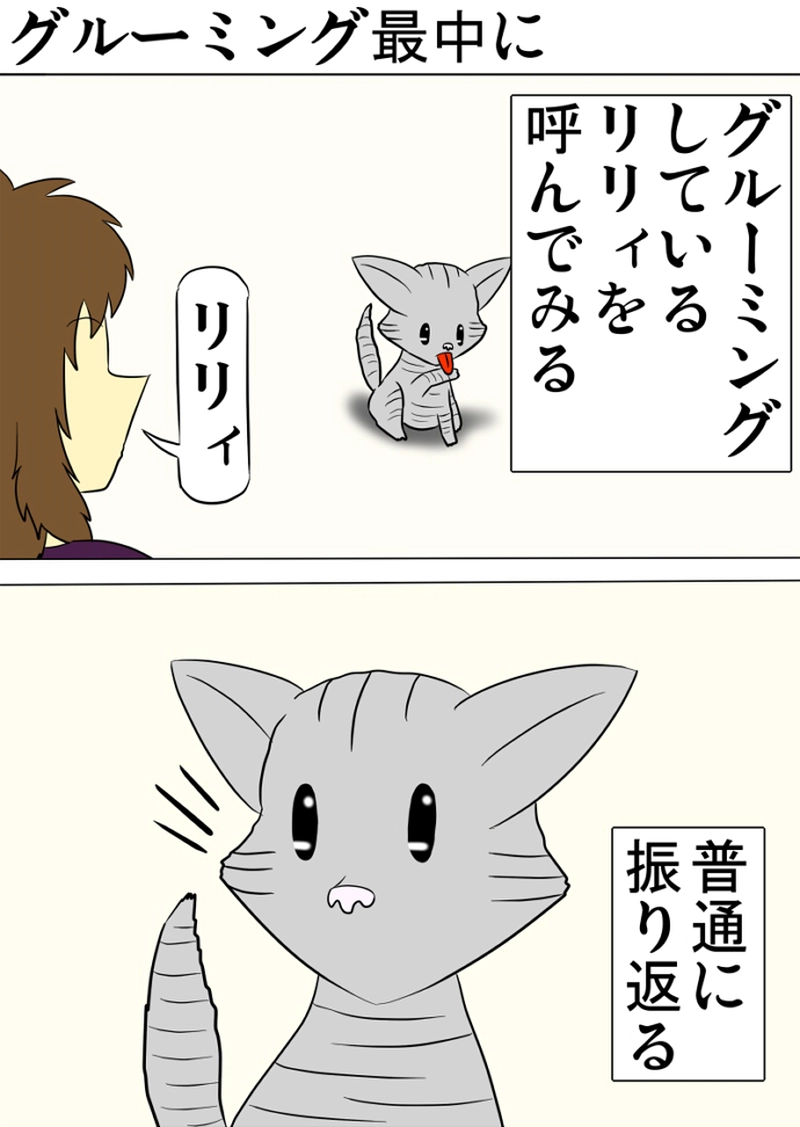 ミーのおもちゃ箱 第1270話～第1275話