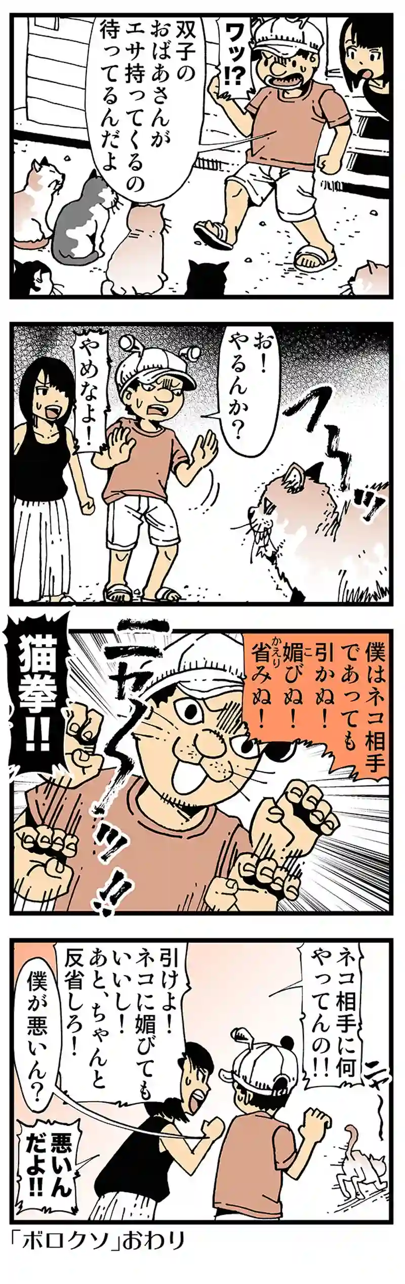 【普通】ノラネコとイニシアチブ取り合う