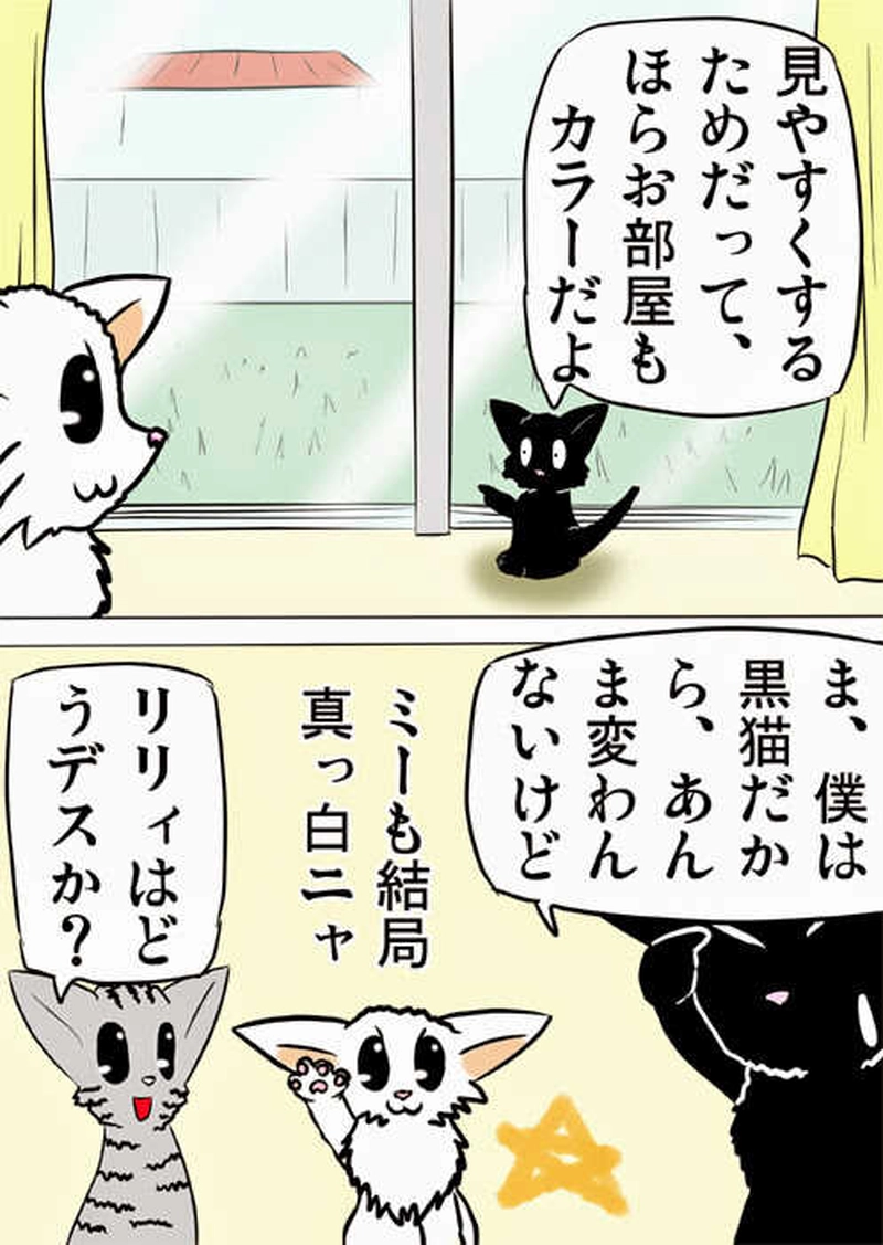 ミーのおもちゃ箱１４１話