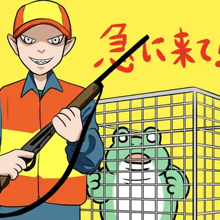 急に来てすぐカエル(310)