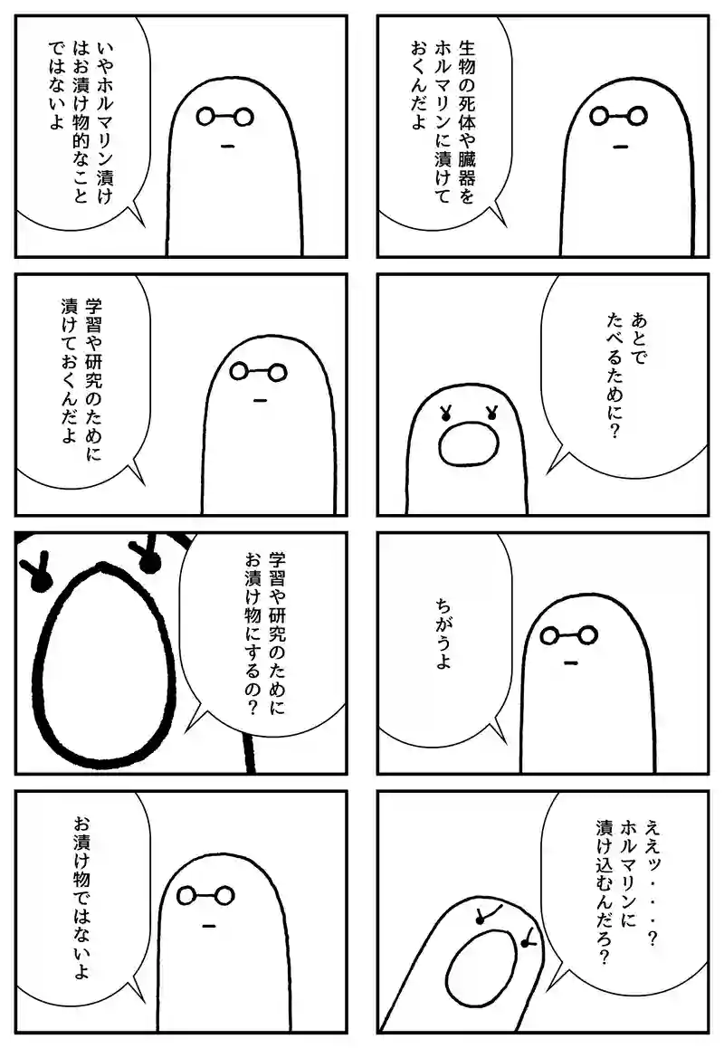 ホルマリン漬け