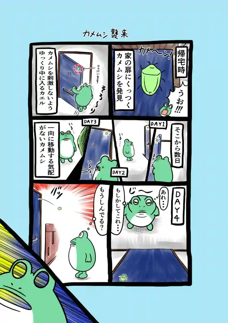 急に来てすぐカエル(164)