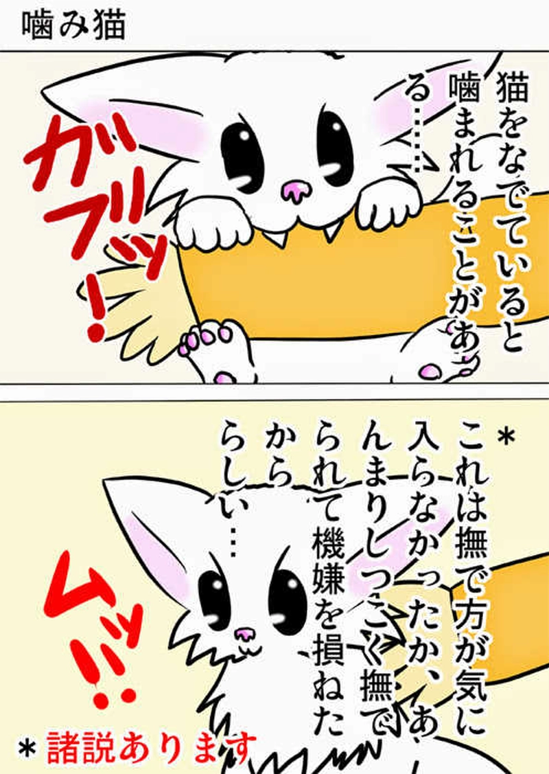 ミーのおもちゃ箱１６４話