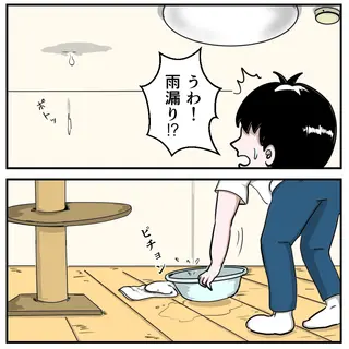 雨漏り