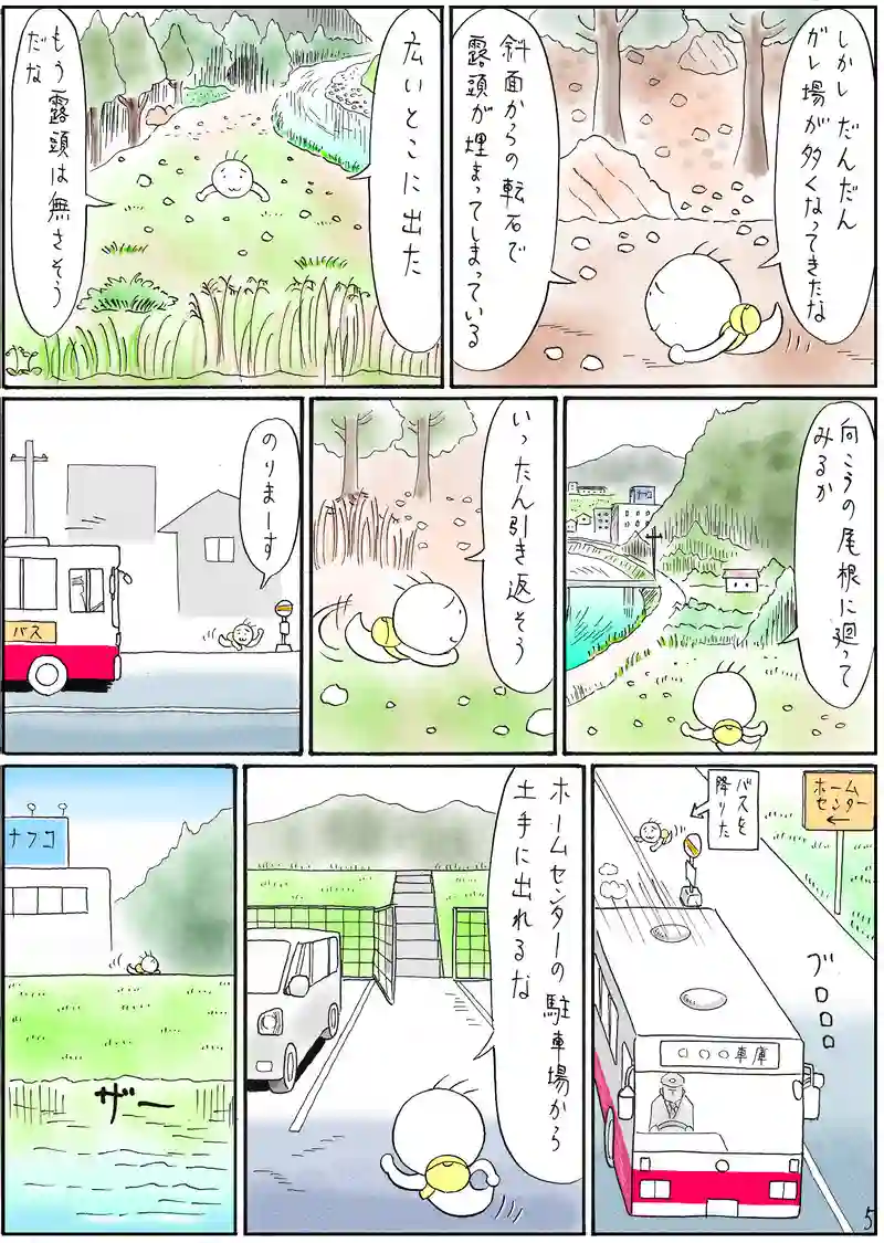 古生層　チャート