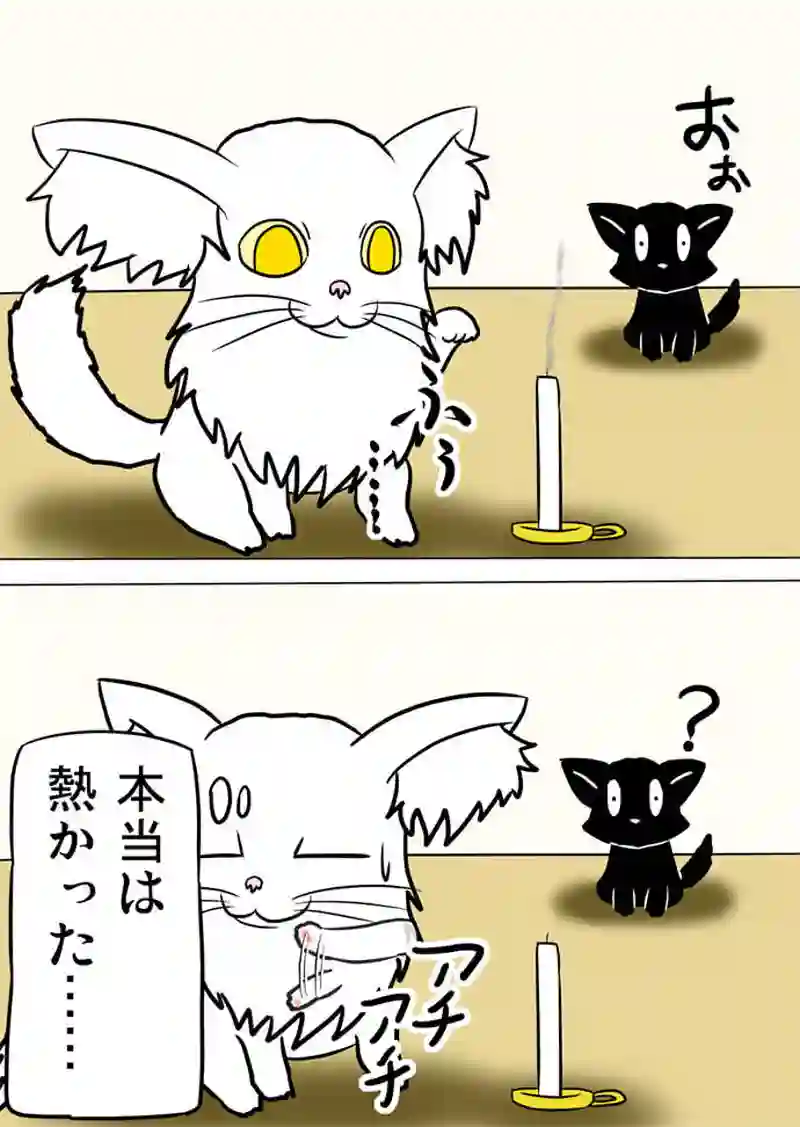 ミーのおもちゃ箱757話～第763話