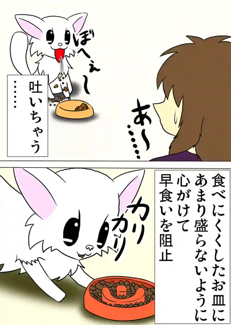 ミーのおもちゃ箱 第999話～第1004話