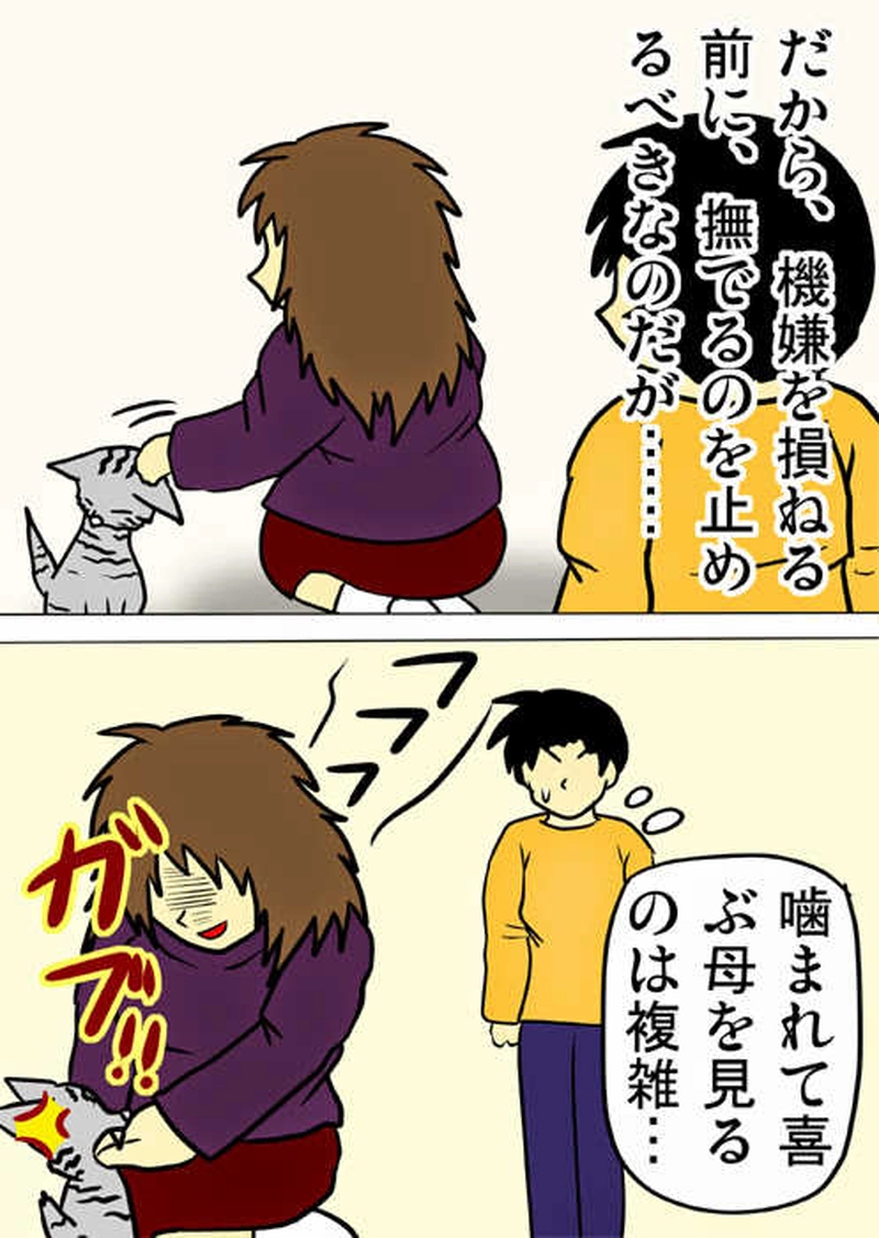 ミーのおもちゃ箱１６４話