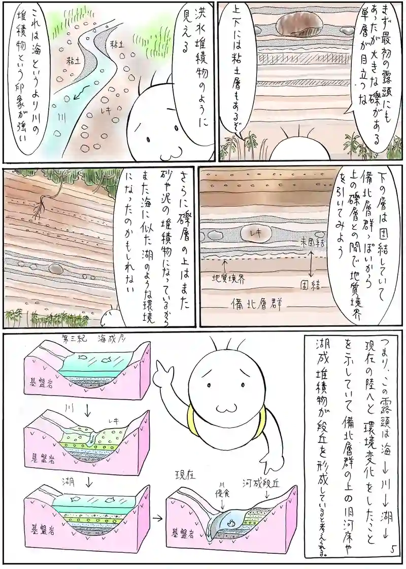 新生代　第三紀