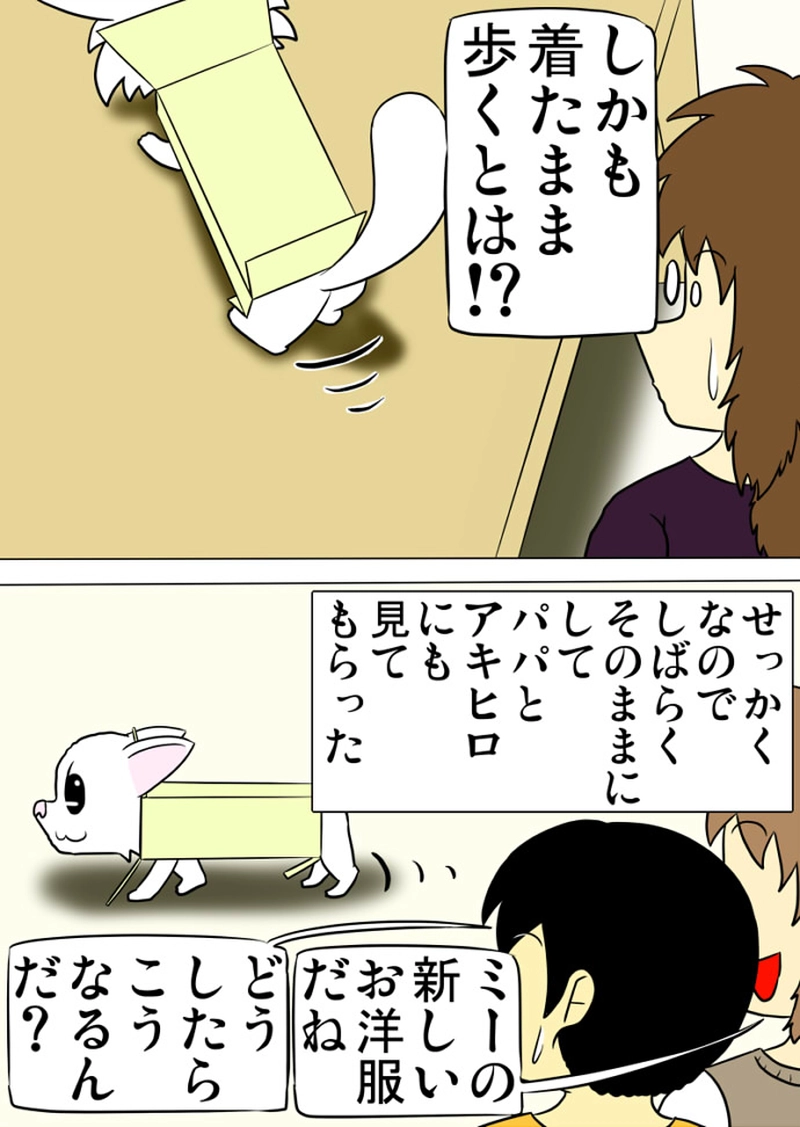 ミーのおもちゃ箱 第1405話～第1408話