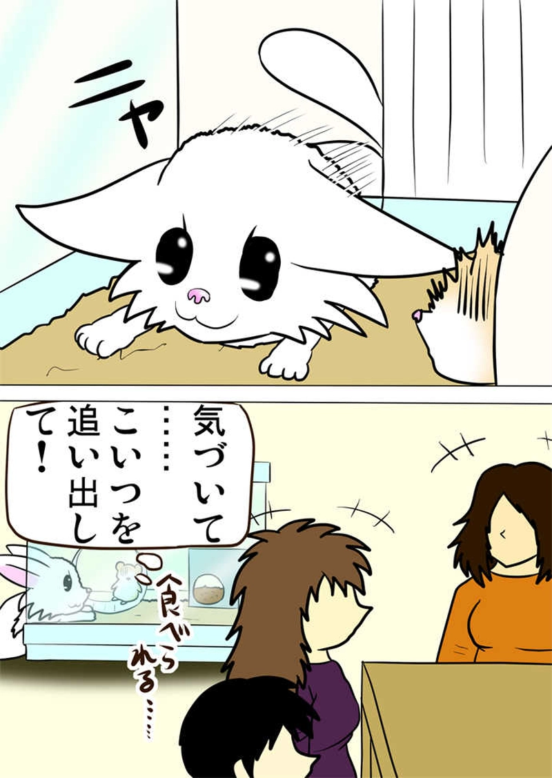 ミーのおもちゃ箱４７１話