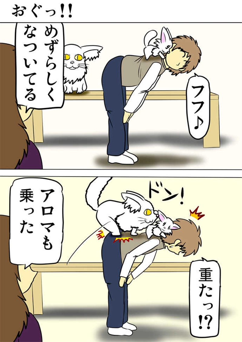 ミーのおもちゃ箱４８１話