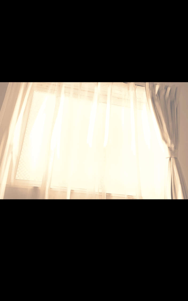 1:  Cats and Dogs (Part 1)