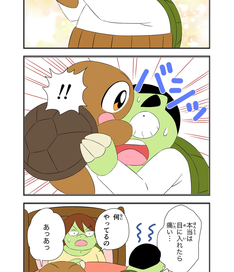 カメ太郎、誕生！