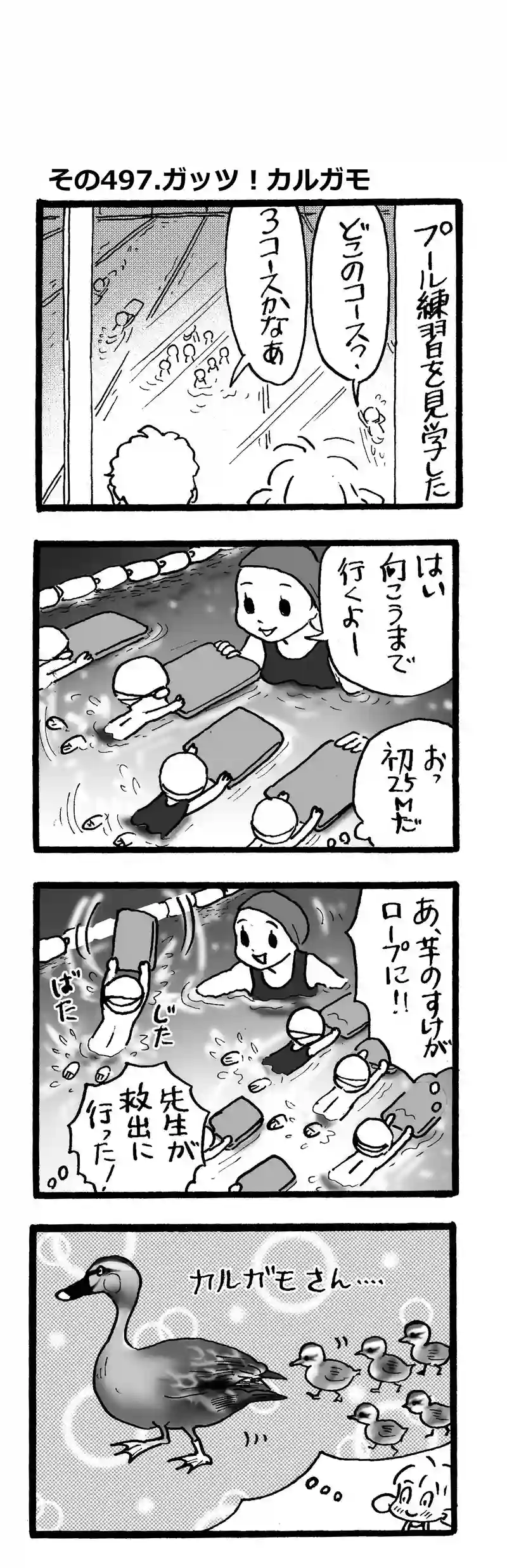 その497.ガッツ！カルガモ兄弟