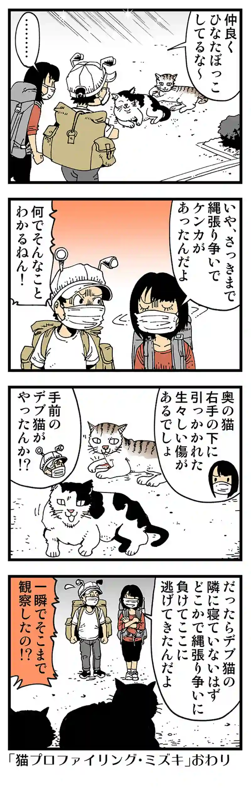 【普通】ノラ猫は眠りが浅い