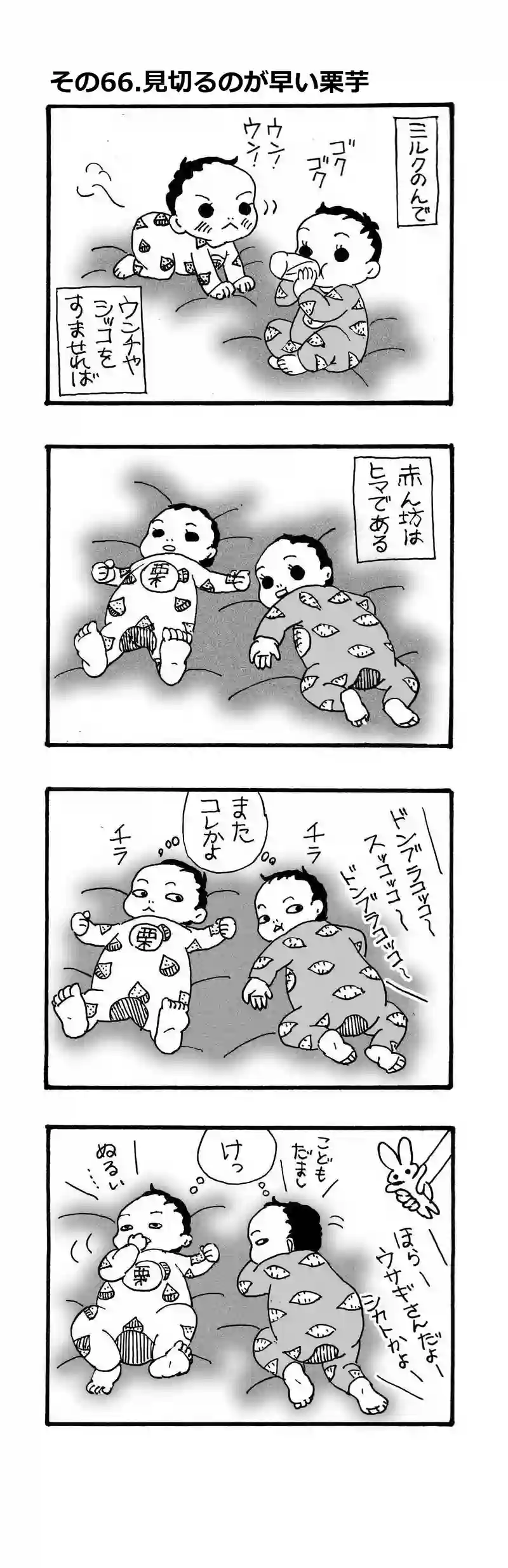 その66.見切るのが早い栗芋