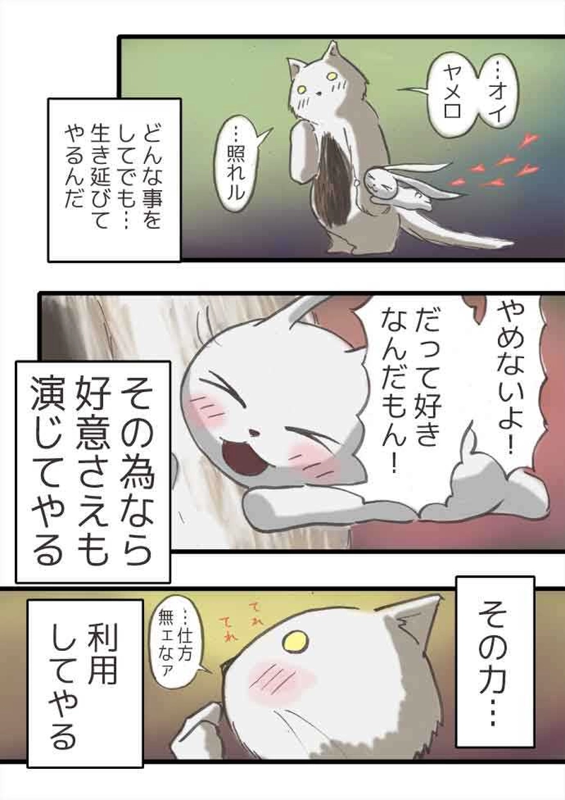 腹黒ウサギと腹白ネコ（前編）