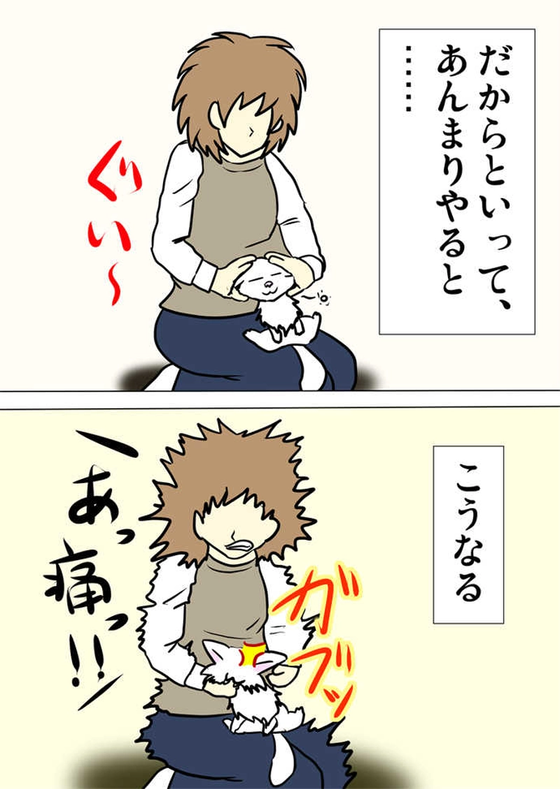 ミーのおもちゃ箱４８８話