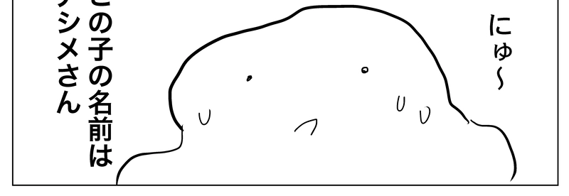 エピソード3：分裂に困ったアシメさん