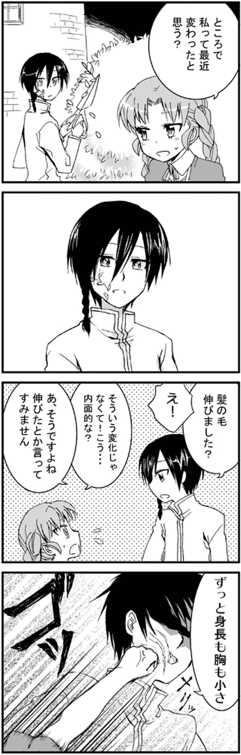 魔法使いの日々