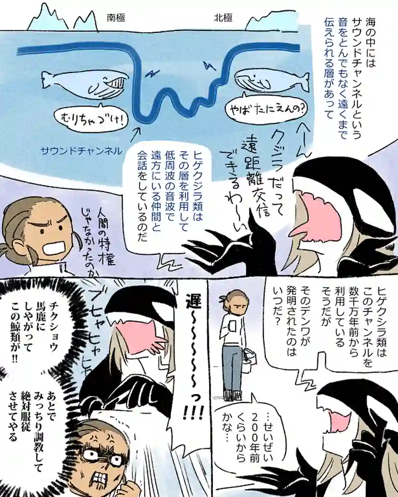 モルトバール６