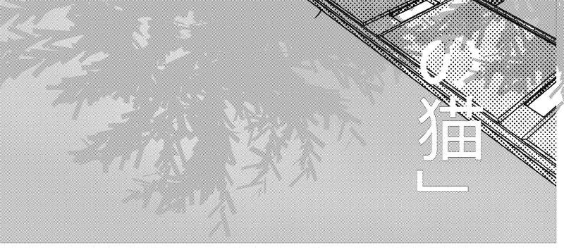 フロントウィングの猫