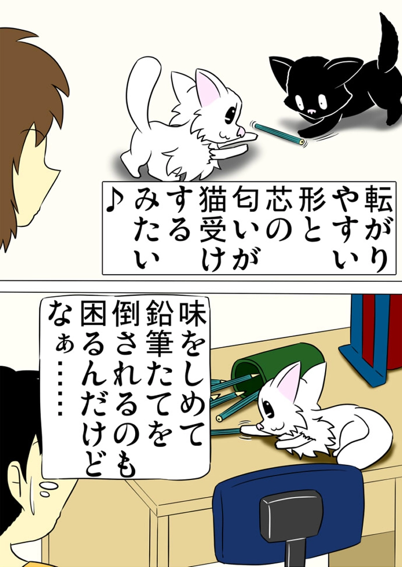 ミーのおもちゃ箱 第1312話～第1317話