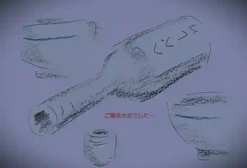 LAP.352 最終春紀行1