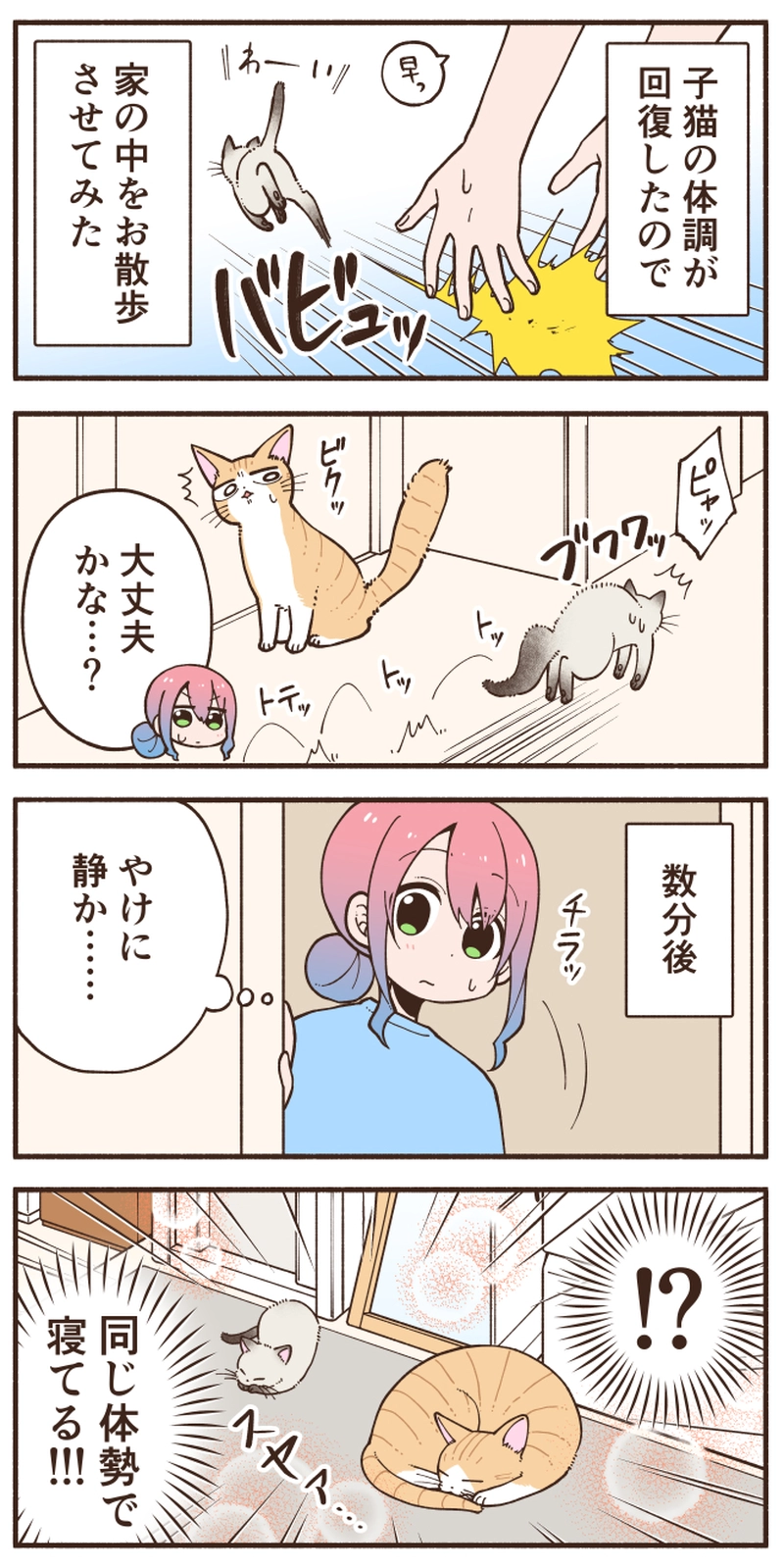 はじめてのおさんぽ【このちゃん⑦】