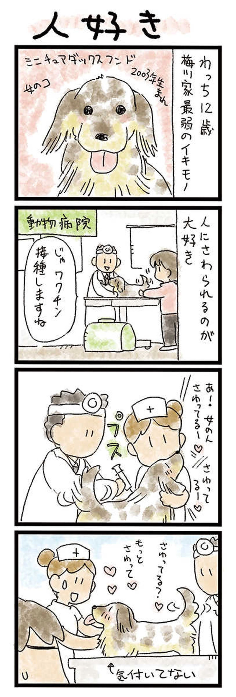 うめさんちの　２