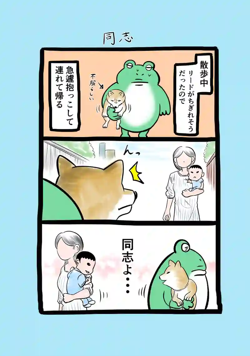 急に来てすぐカエル(295)