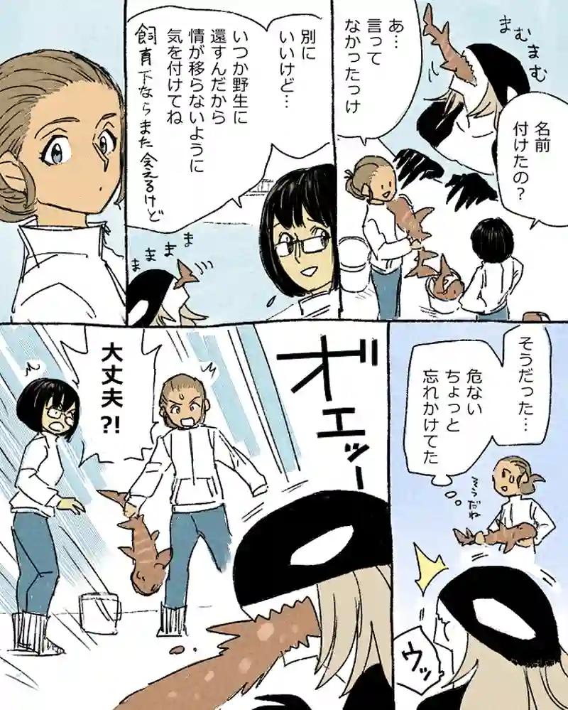 モルトバール３