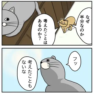 半分のワケ