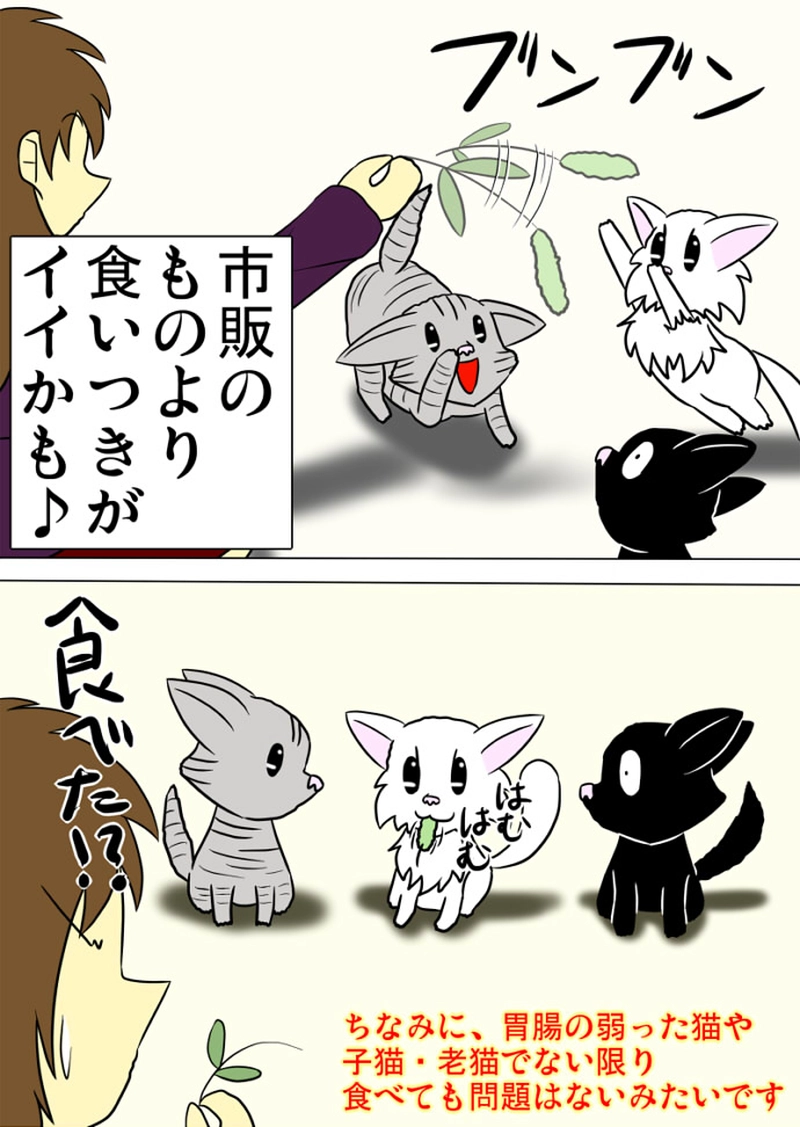 ミーのおもちゃ箱 第1294話～第1299話