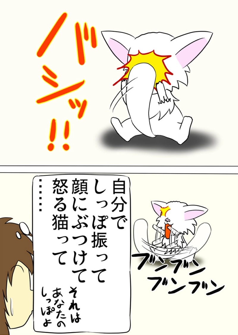 ミーのおもちゃ箱 第1294話～第1299話