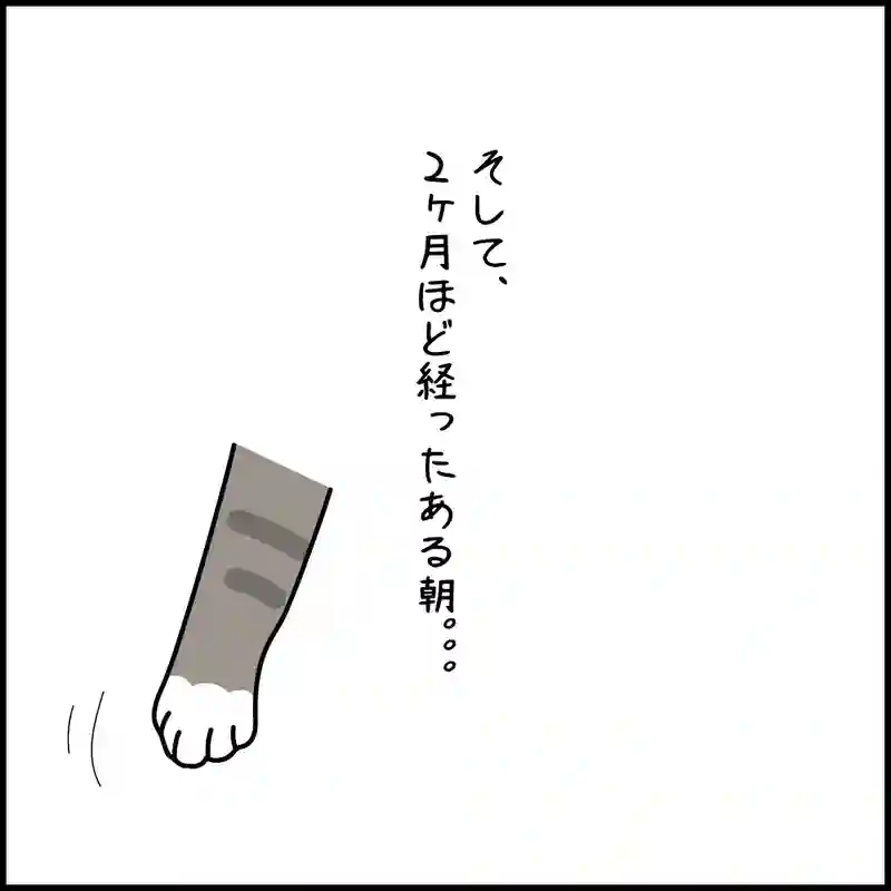 第7話 17才老猫　ニューヨーク闘病日記