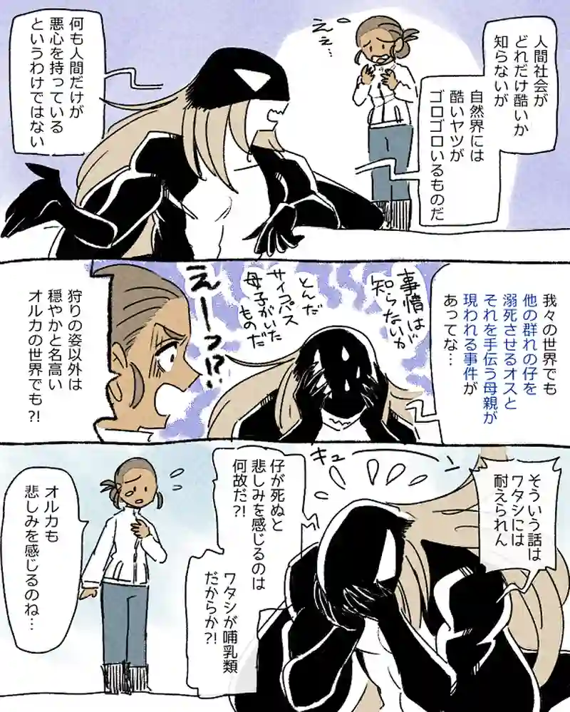 モルトバール９