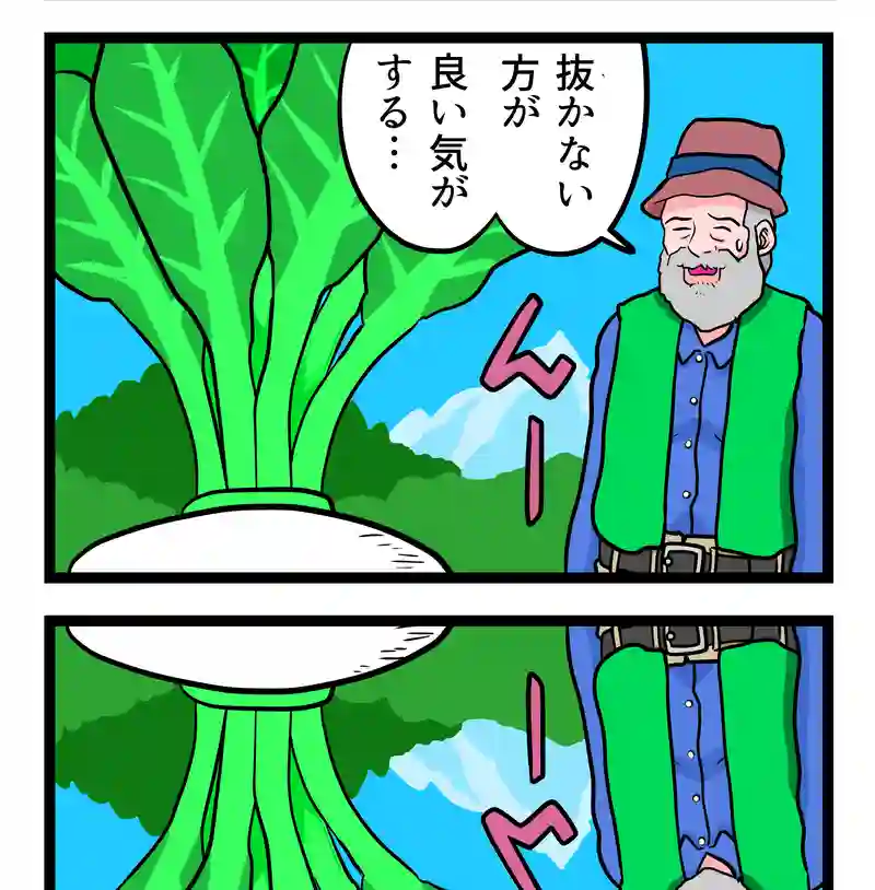 大きなカブ