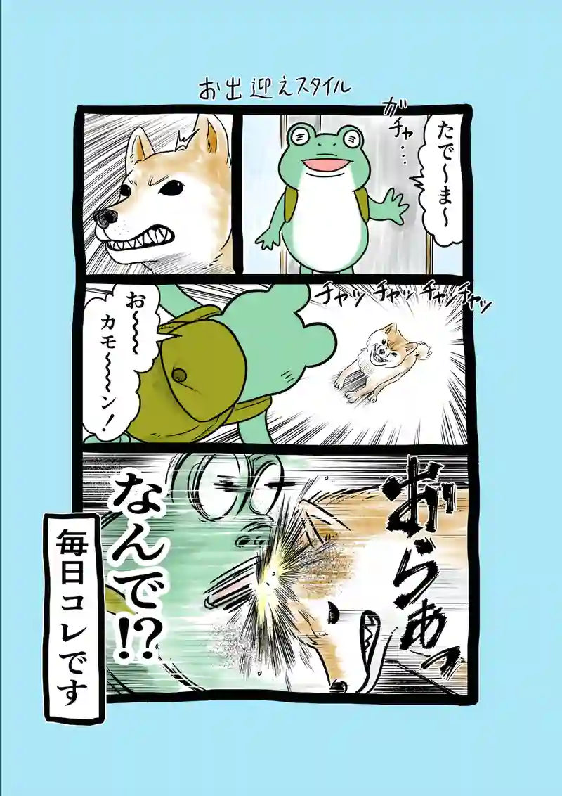 急に来てすぐカエル(70)