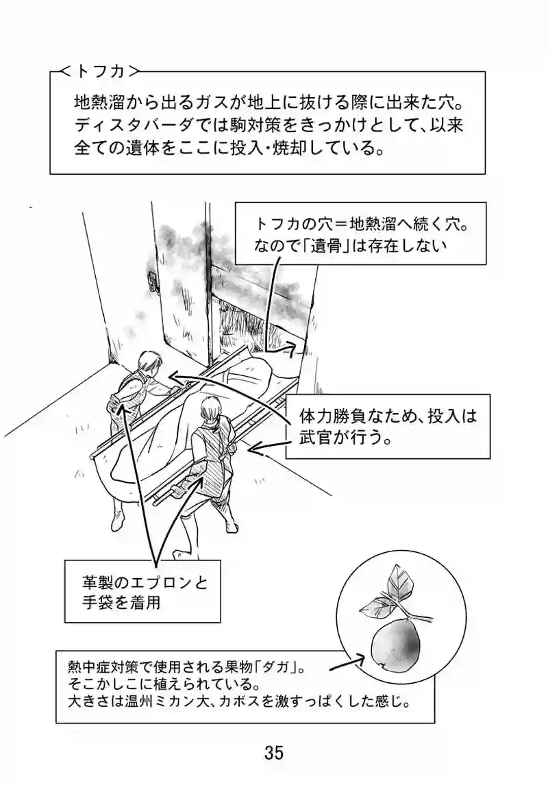 №36（2）