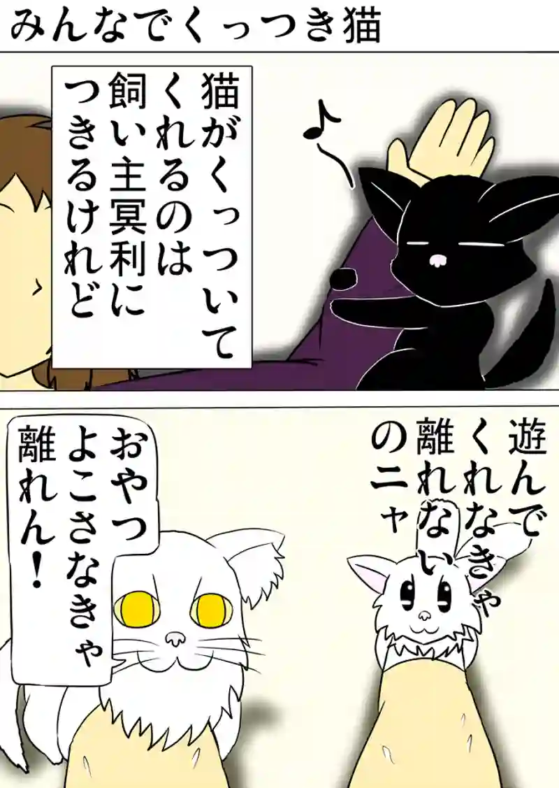 ミーのおもちゃ箱 第1191話～第1196話