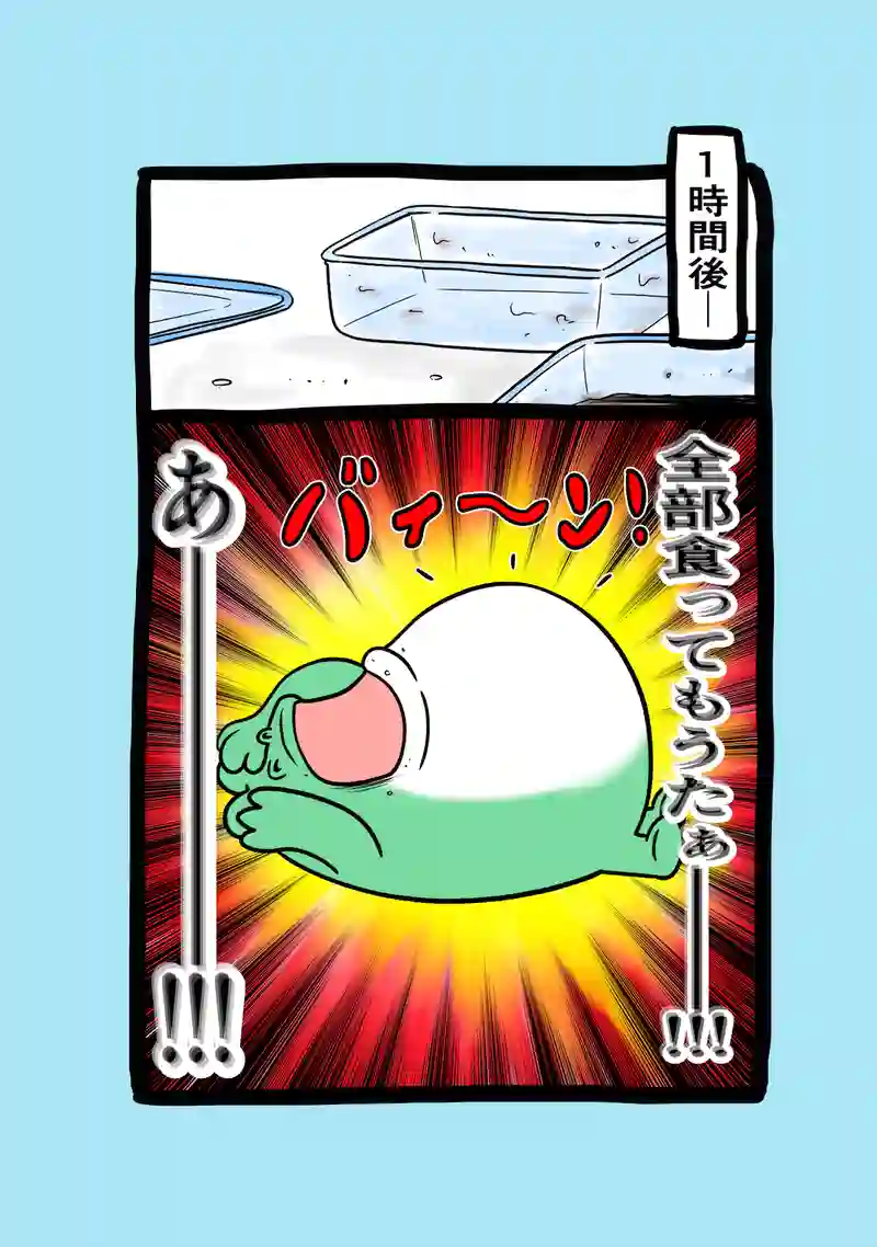 急に来てすぐカエル(219)