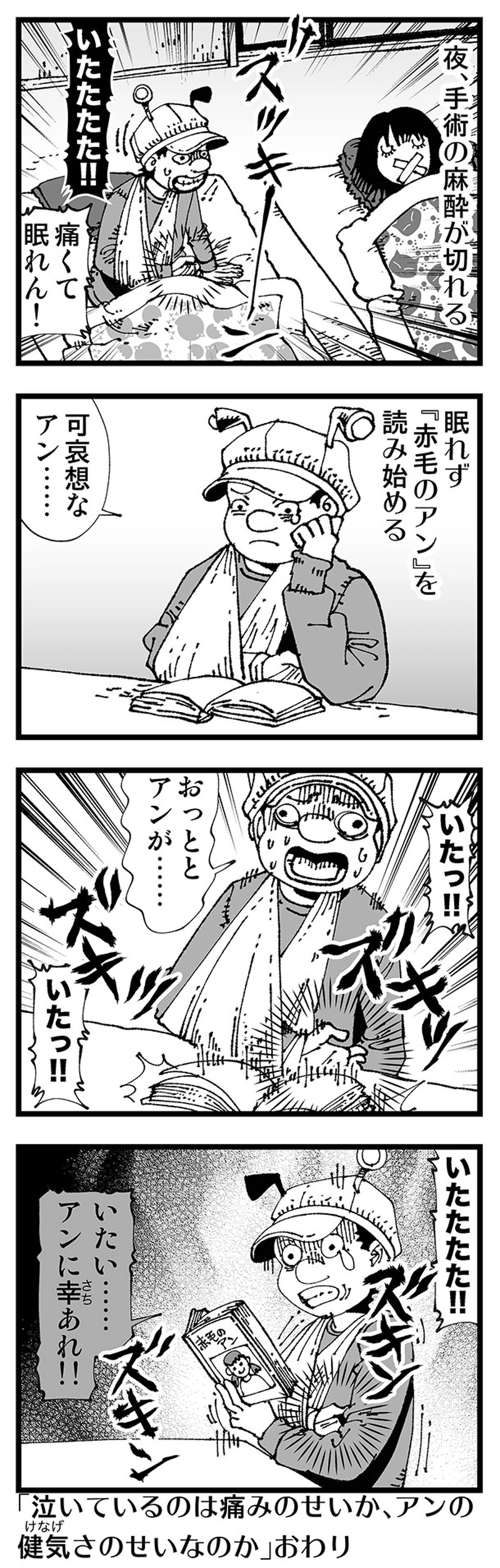 【普通】睡眠薬にして鎮痛剤……読書