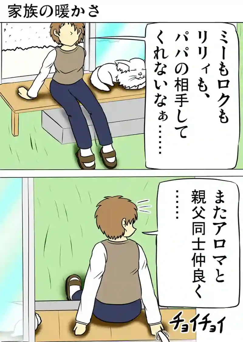 ミーのおもちゃ箱　第933話～第938話