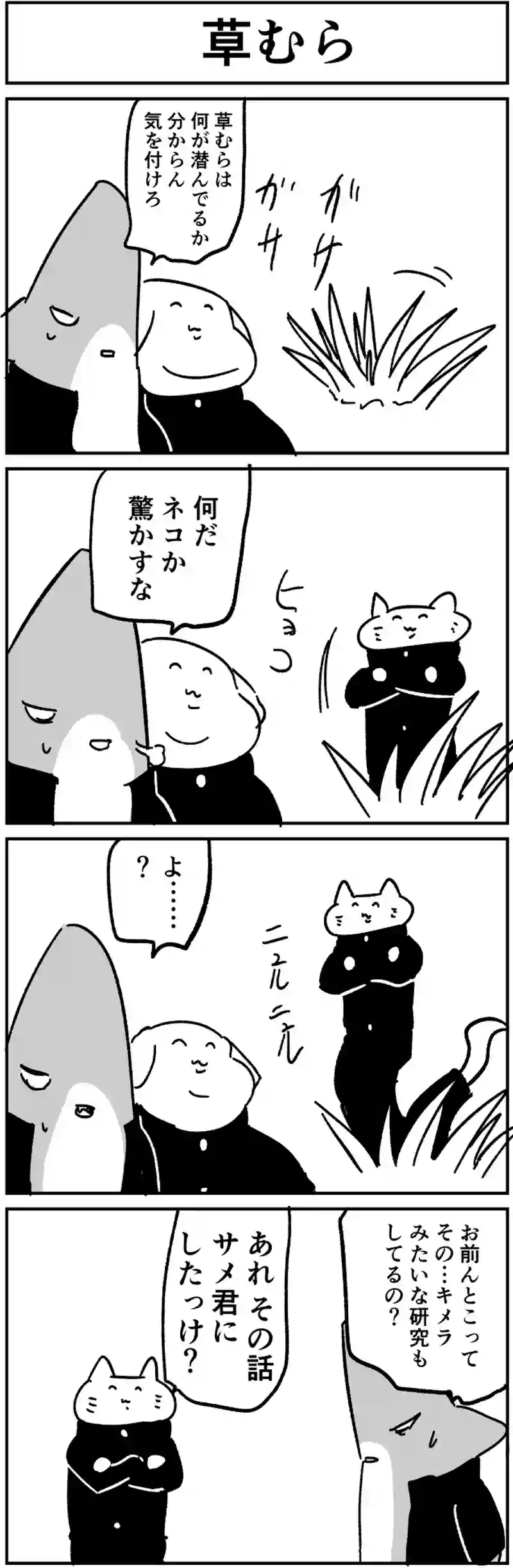 草むら