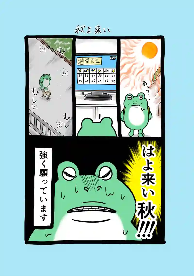 急に来てすぐカエル(221)