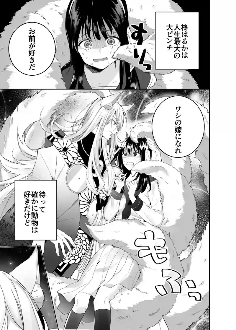 出会い